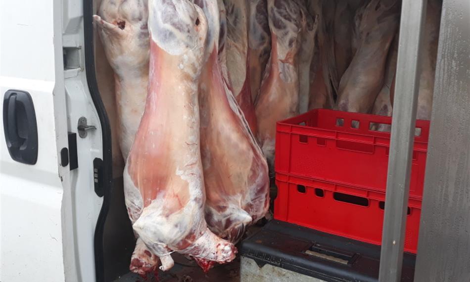 2019-12-23-1219foto 4.jpg